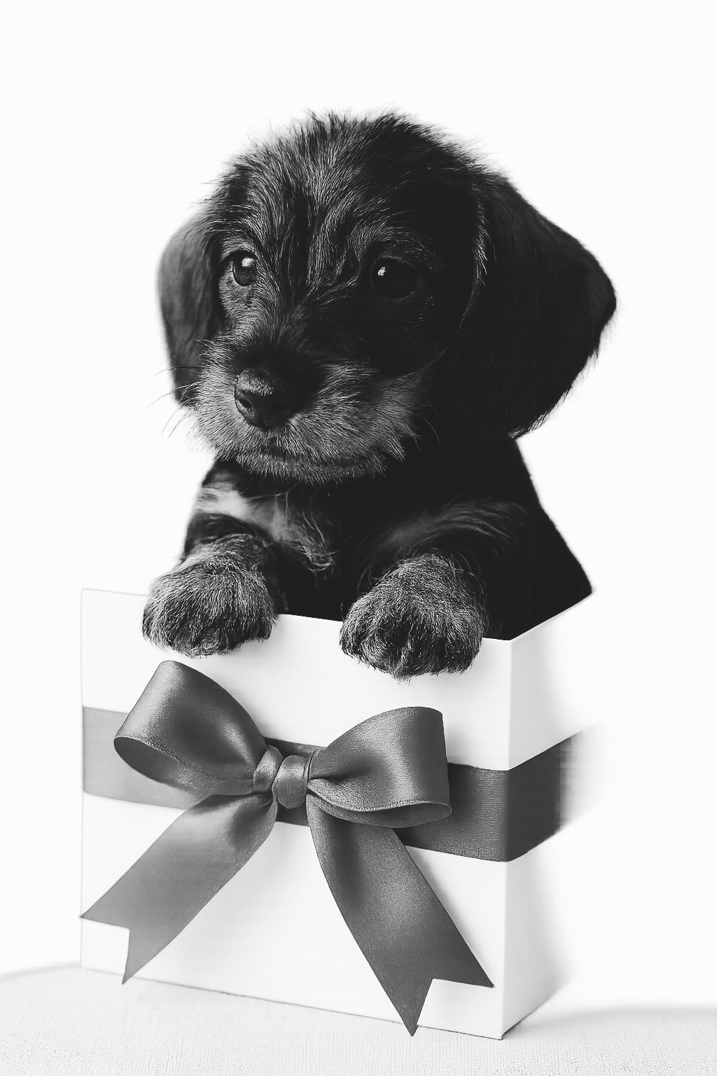 Les cartes cadeaux
